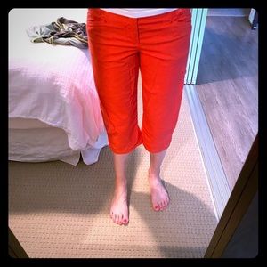 Patagonia rock climbing pants?